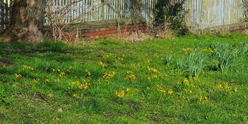 Lewisham Park