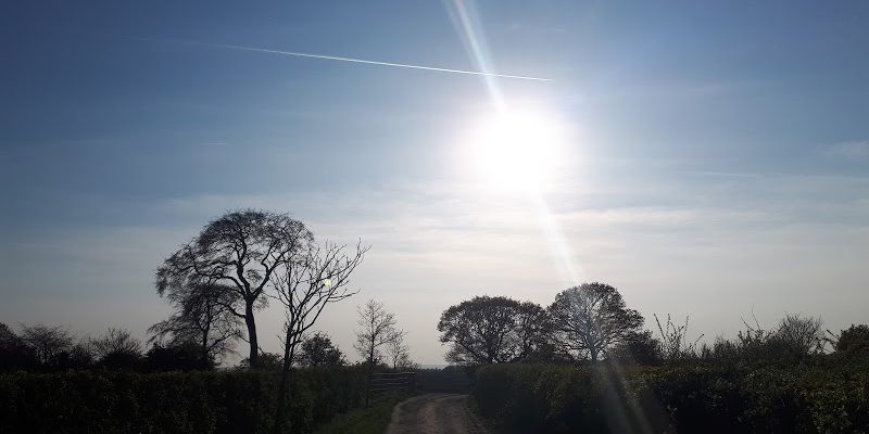 Temple Newsam Park