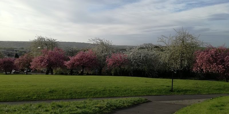 Western Flatts Cliff Park