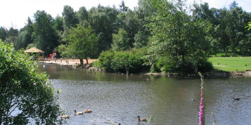 Golden Acre Park