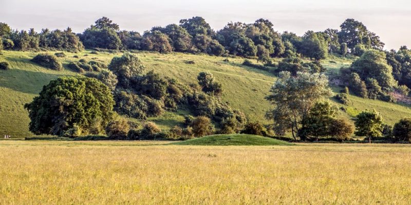 Cock Marsh