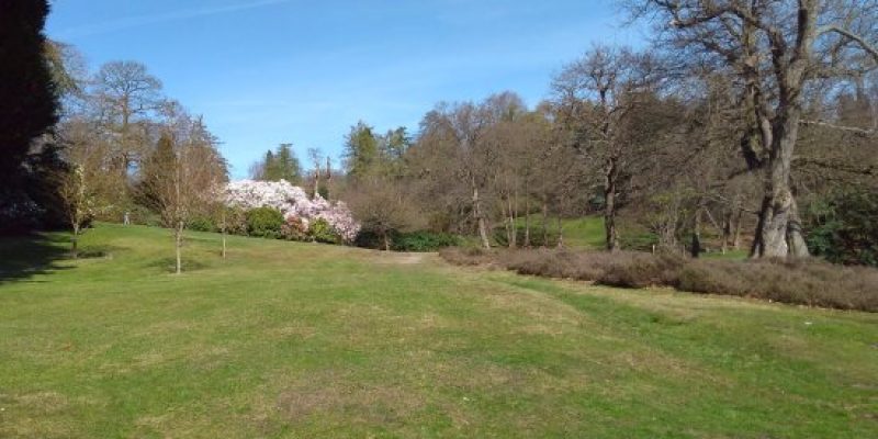 Englefield Meadow Park