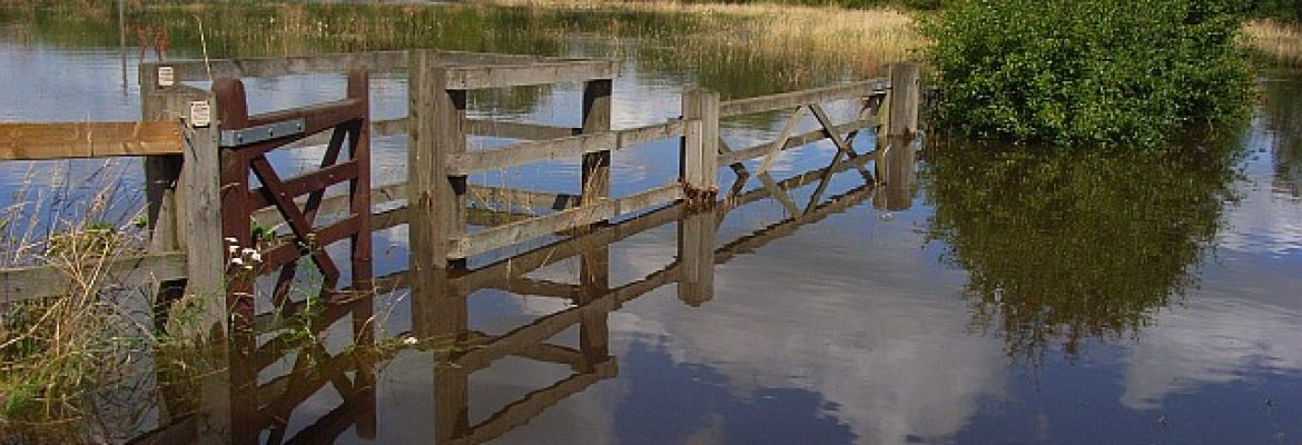 Charvil Country Park