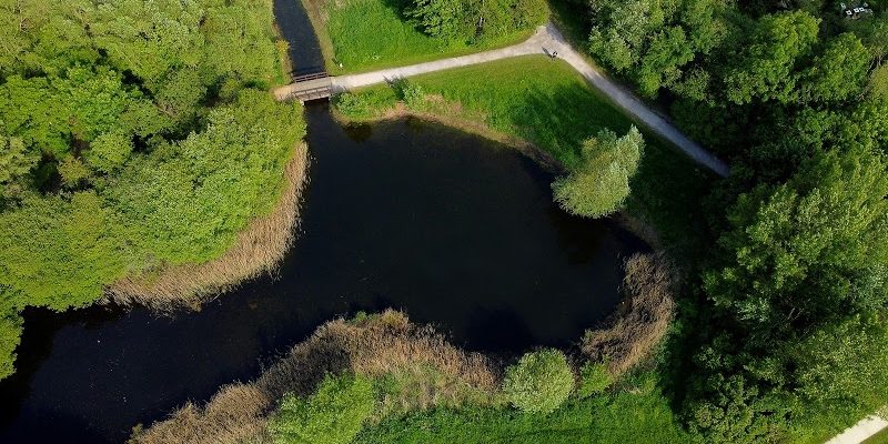 Thames Valley Park Nature Reserve