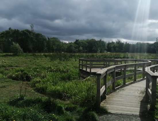 Hailes Quarry Park