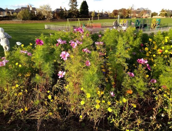 Liberton Public Park