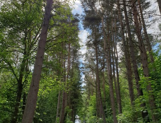 Bonaly Country Park