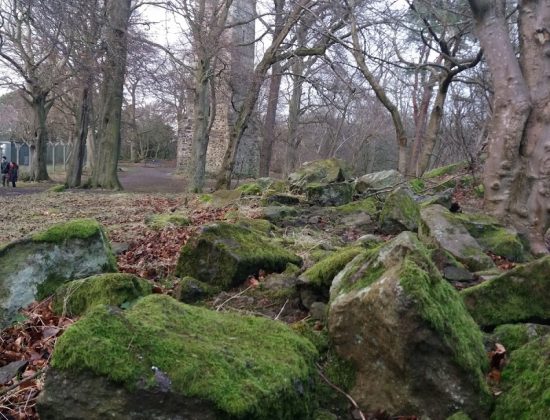 Entrance To Corstorphine hill