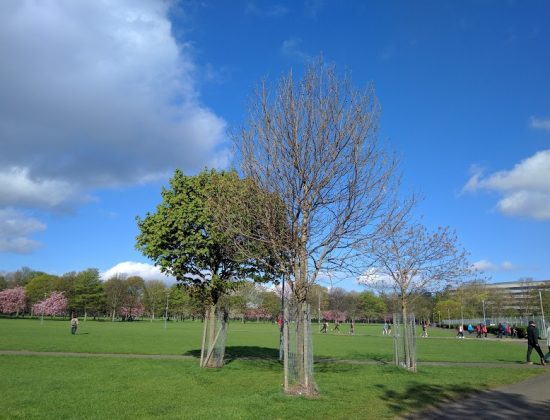 East Meadows Play Park