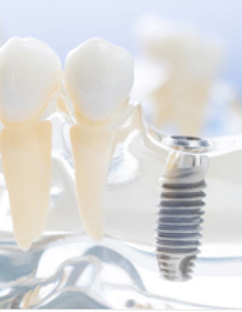 Millbank Dental Care