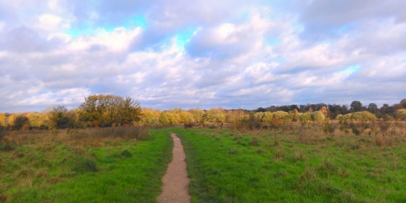 Rook’s Nest Wood Country Park