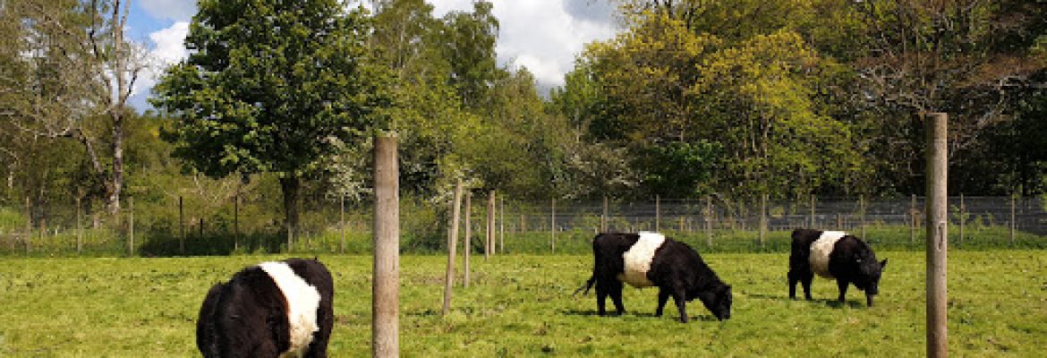 Lake District Wildlife Park – lake district