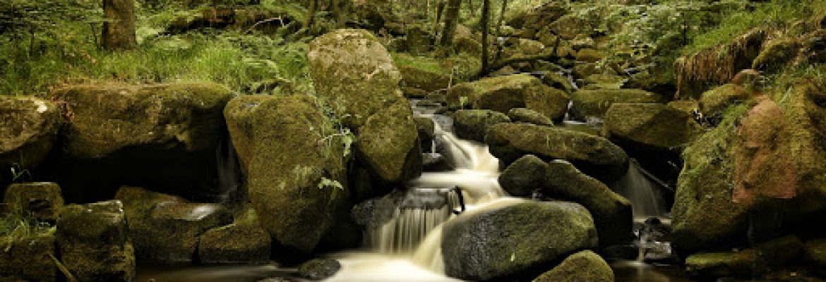 Padley Gorge – Peak District