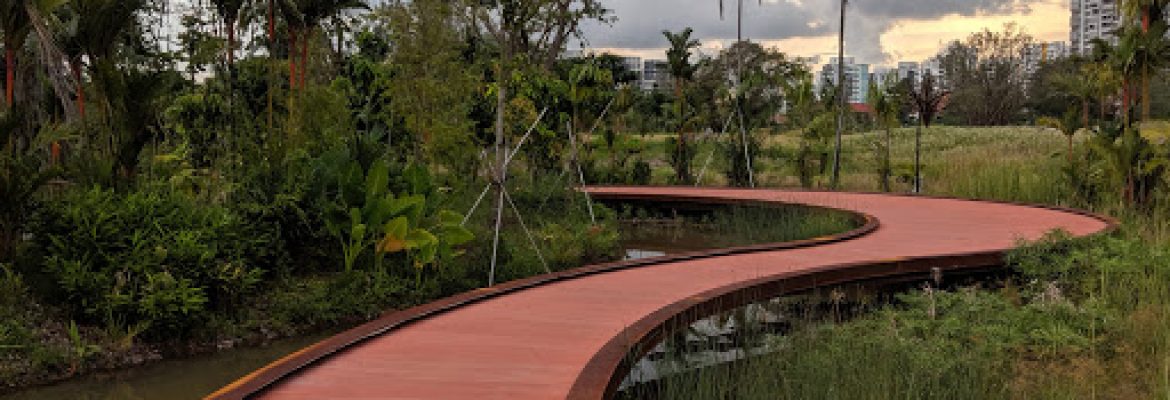 Jurong Lake Gardens – lake district
