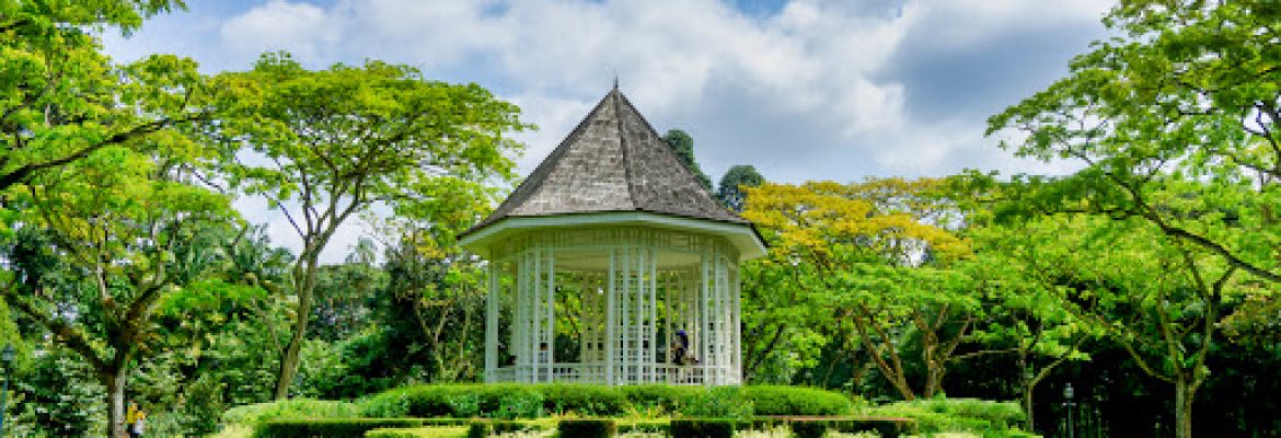 Singapore Botanic Gardens – lake district