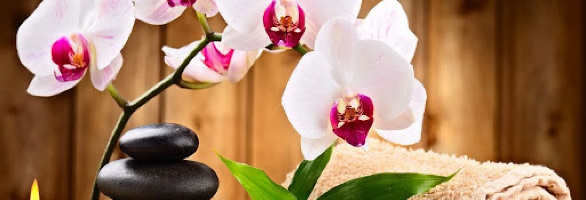 Lotus Thai Massage – bradford