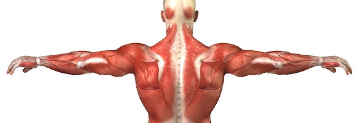 MG Sports Massage & Therapy Cardiff – cardiff