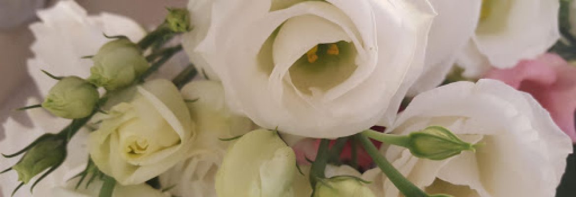 Hedge End Beauty Salon – Southampton