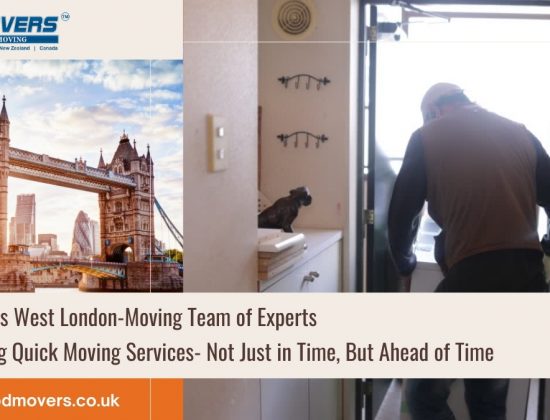 CBD Movers UK