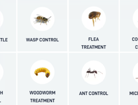 Pest Control Oxford