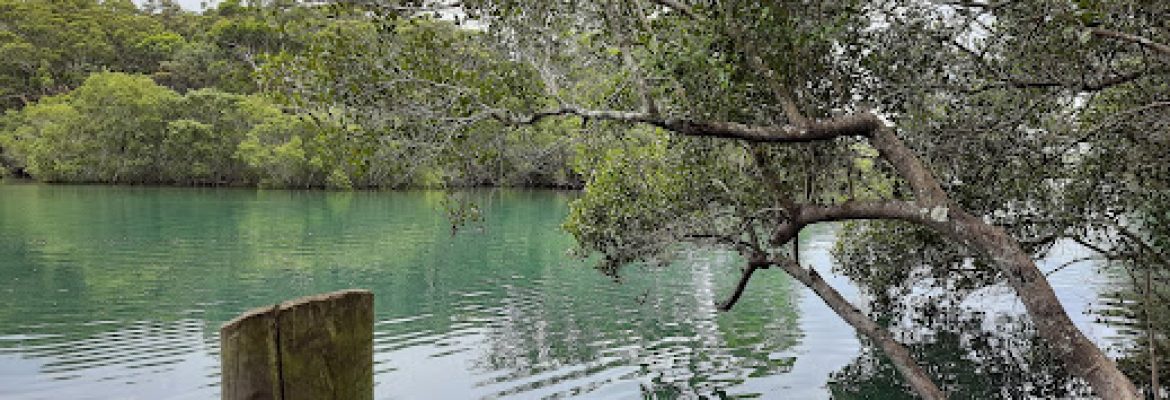 Beauty on the Promenade – Coffs Harbour