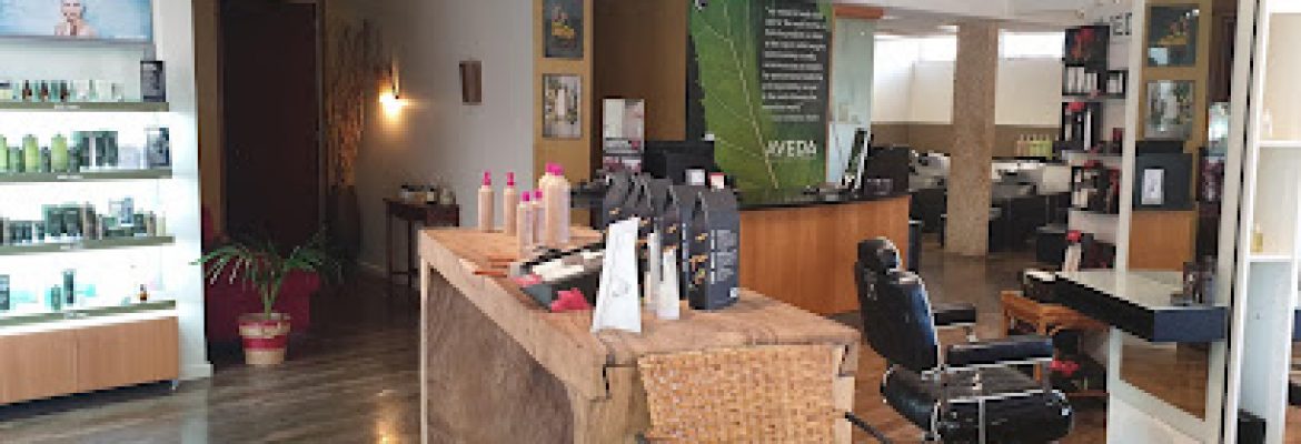 Renew Salon Spa – albany