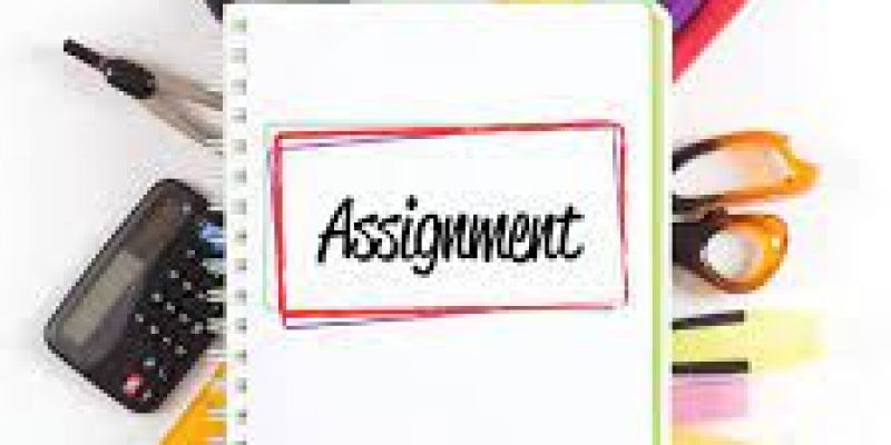 Hire Professional Assignment Writers for Customized Academic Assistance