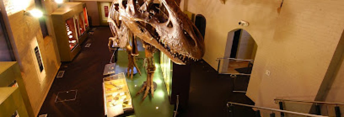 Australian Fossil and Mineral Museum – Bathurst