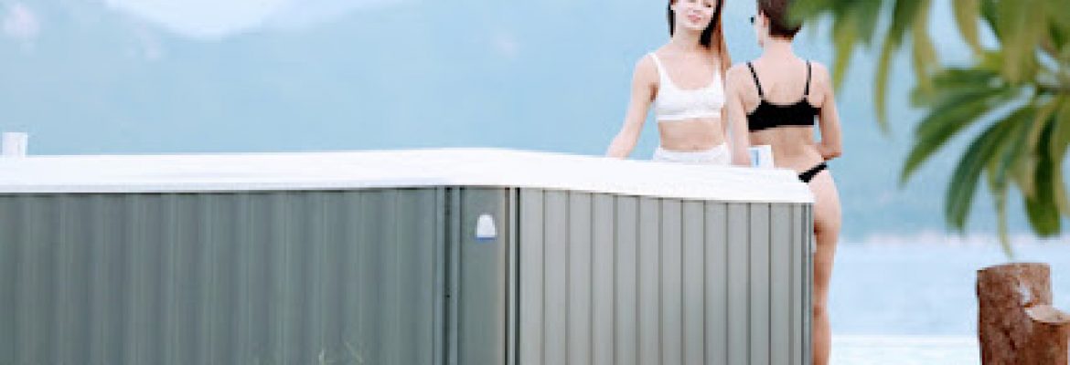 Mega Spa Spas & Swim Spas – perth