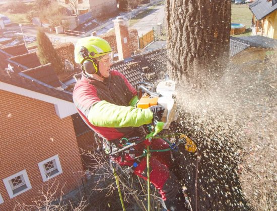 Coventry Tree Services