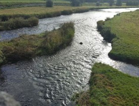 Lower Tryweryn Get Off Car Park