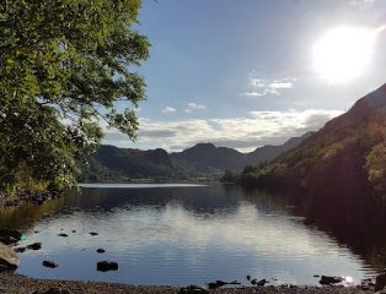 Gwydir Forest Park