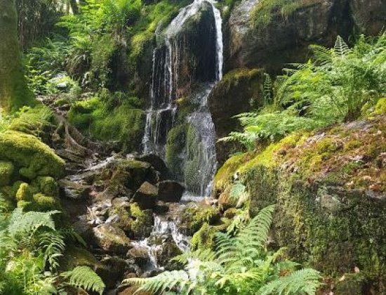 National Trust – Craflwyn and Beddgelert