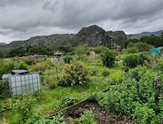 Blaenau Ffestiniog Allotment Society