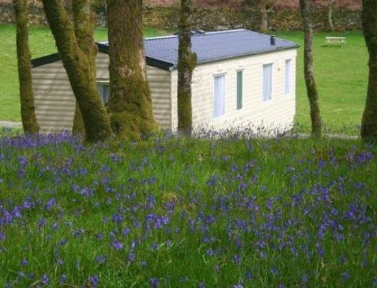 Dinas Caravan Park and Camping