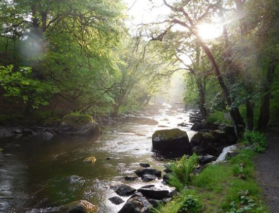 Lower Tryweryn Get Off Car Park