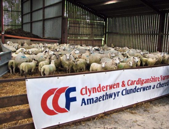 Clynderwen & Cardiganshire Farmers Ltd