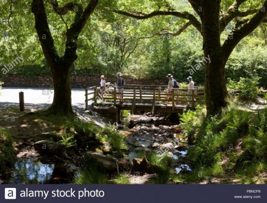 Coedydd Maentwrog National Nature Reserve