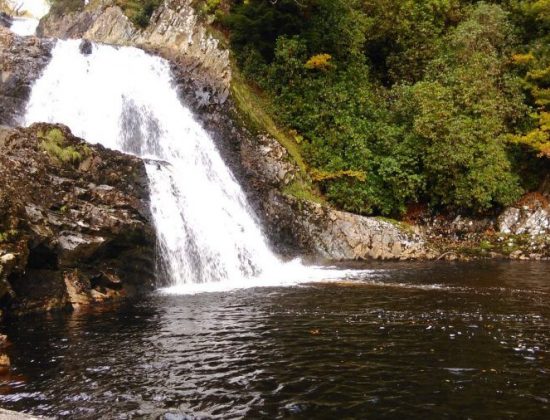 Coed y Brenin Forest Park