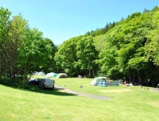 Dolgamedd Holiday Park