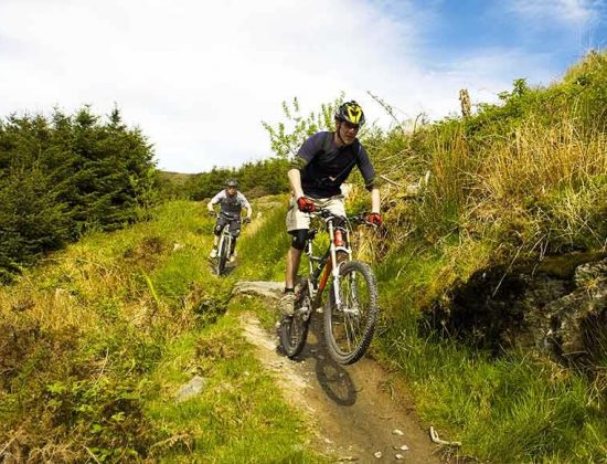 Gwydir Forest Park